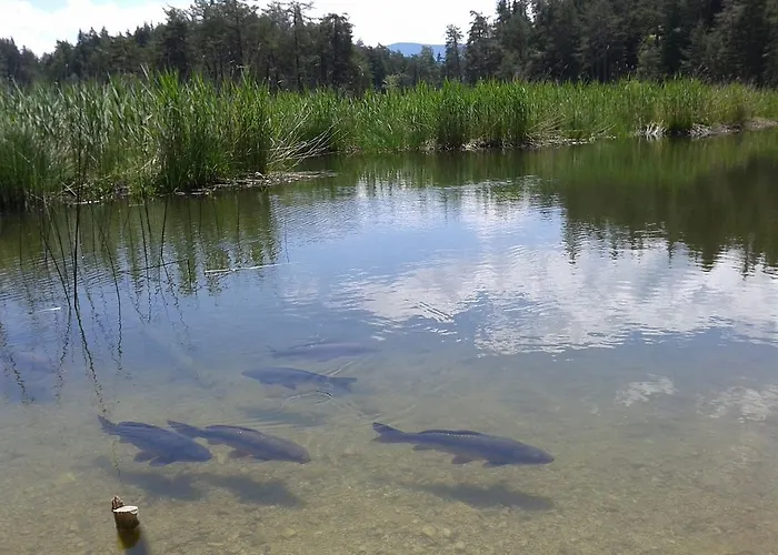 Гостевой дом Spiegl